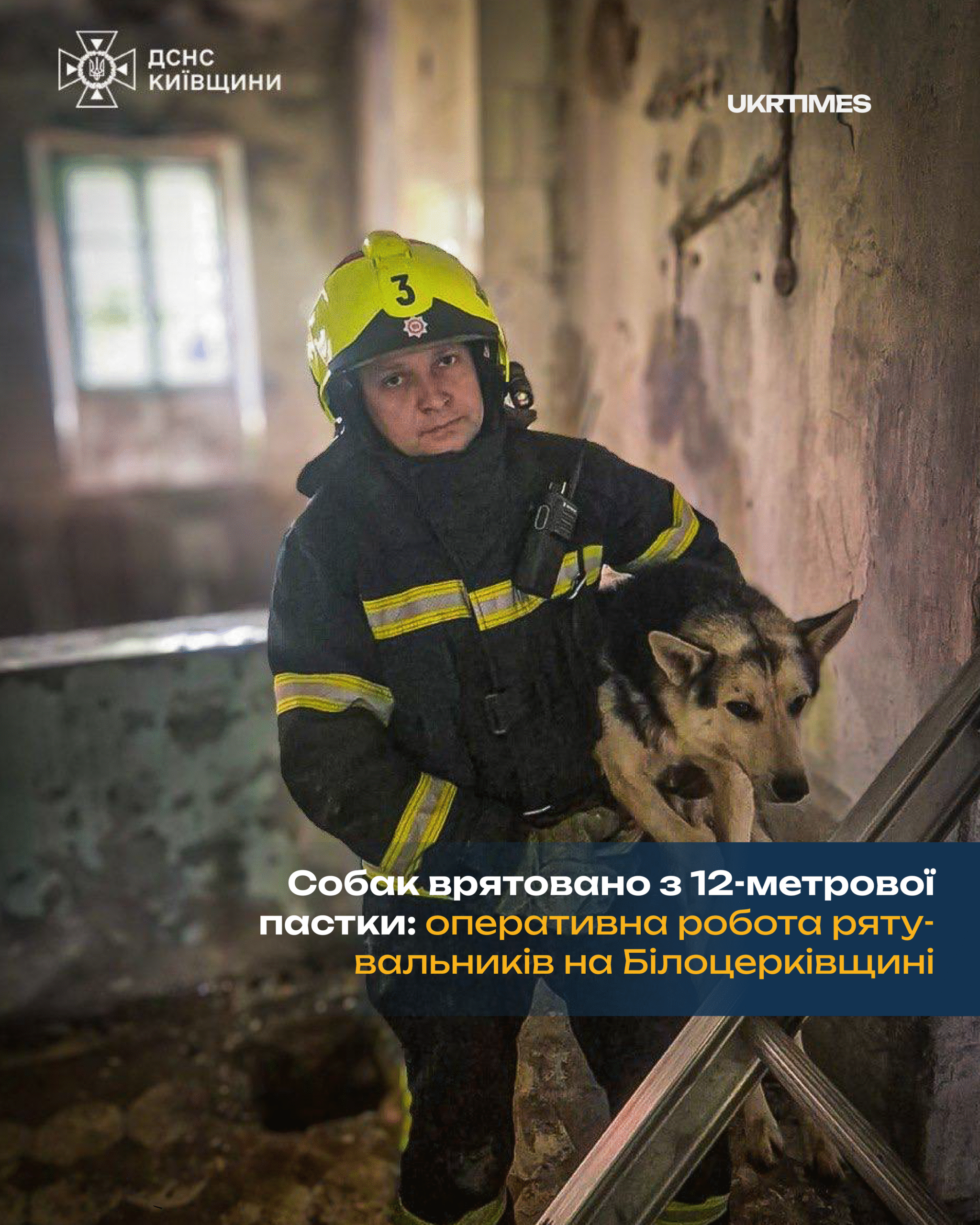 Собак врятовано з 12-метрової пастки: оперативна робота рятувальників на Білоцерківщині